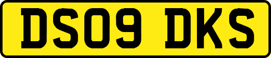 DS09DKS