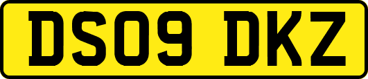 DS09DKZ