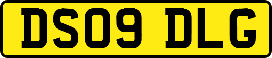 DS09DLG