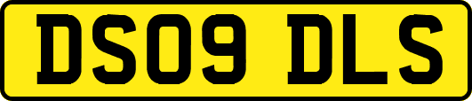 DS09DLS
