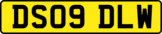 DS09DLW