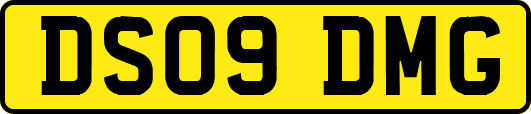 DS09DMG