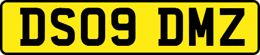 DS09DMZ