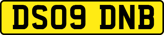 DS09DNB