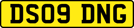 DS09DNG