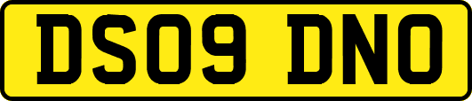 DS09DNO