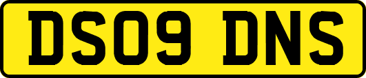 DS09DNS
