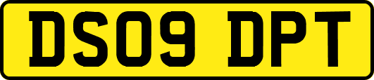 DS09DPT