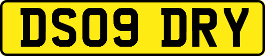 DS09DRY