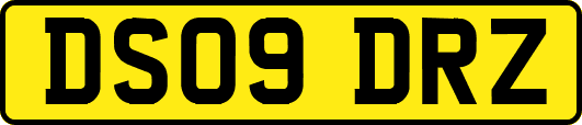 DS09DRZ