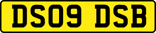 DS09DSB