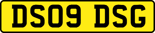 DS09DSG