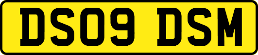 DS09DSM