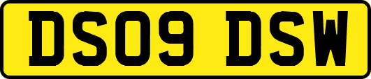 DS09DSW