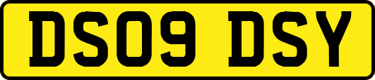DS09DSY