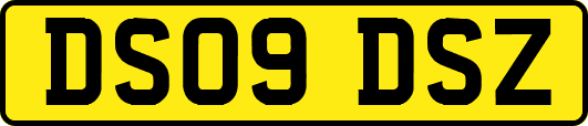 DS09DSZ