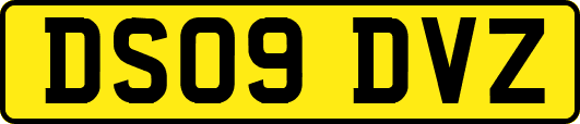 DS09DVZ