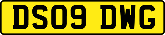 DS09DWG