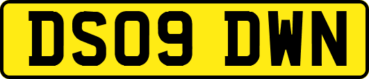 DS09DWN