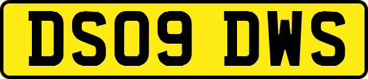 DS09DWS