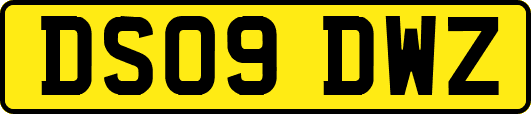DS09DWZ