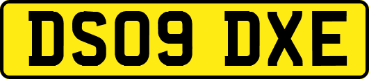 DS09DXE