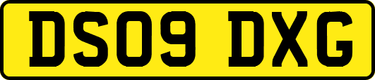 DS09DXG