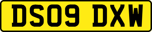 DS09DXW