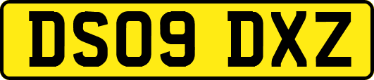 DS09DXZ