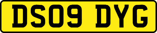 DS09DYG