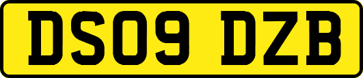 DS09DZB