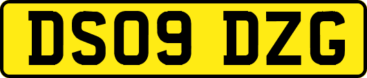 DS09DZG