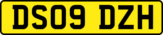 DS09DZH