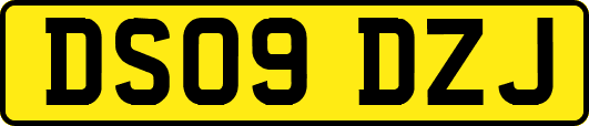 DS09DZJ