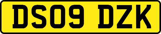 DS09DZK