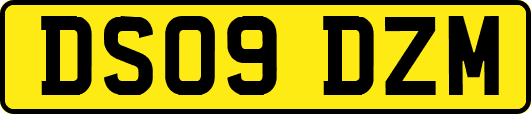 DS09DZM