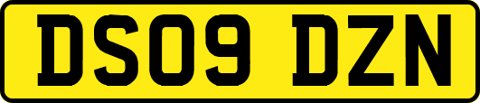 DS09DZN