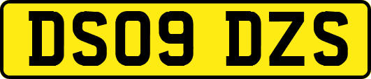 DS09DZS