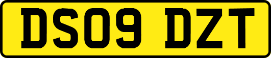 DS09DZT