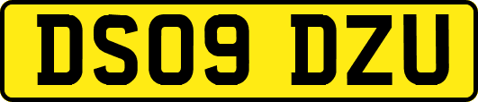 DS09DZU