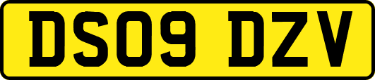 DS09DZV