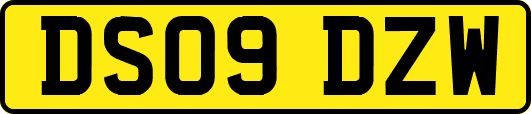 DS09DZW