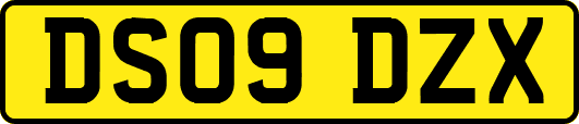 DS09DZX