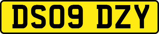 DS09DZY