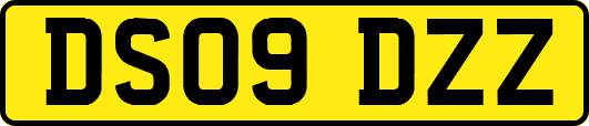 DS09DZZ