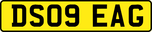 DS09EAG