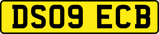 DS09ECB