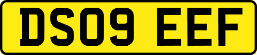 DS09EEF