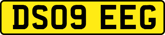 DS09EEG