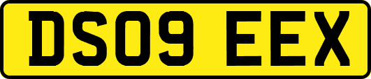 DS09EEX